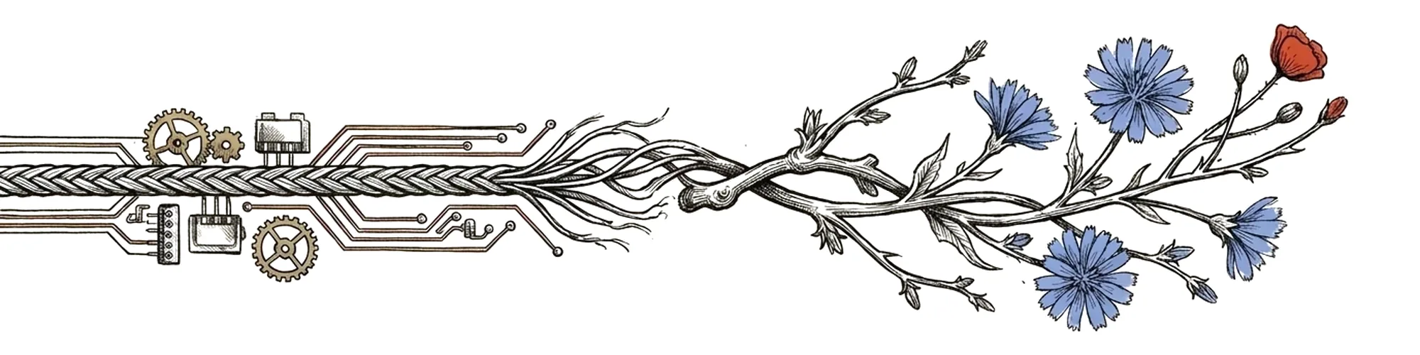 Hand-drawn ink and risograph illustration of a braided cable and mechanical gears on the left transforming into a blooming stem of blue chicory and a red poppy bud on the right.